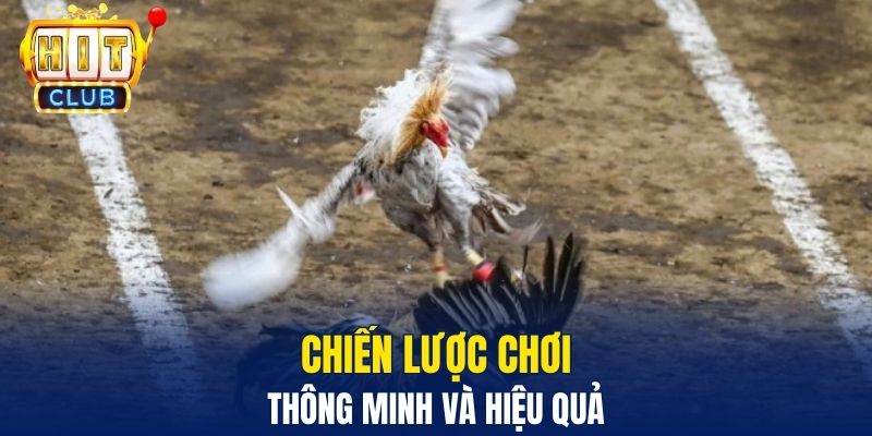 Chiến lược chơi thông minh và hiệu quả